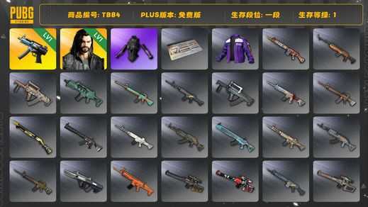 绝地求生（PUBG）[TB84]1段1级（免费版）发光手臂 寒蚀MP5K 多利安 aespa女团