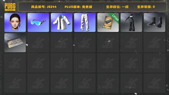 绝地求生（PUBG）成品女团宁宁+改名卡+160票+白运动套+类星女王面具