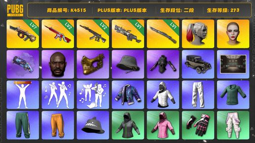 绝地求生（PUBG）[K4515]2段273级   信誉4  7级牛头 2级无信号 2级妖魔 1级大菠萝 1级猛虎 烟枪 丑女 黑鬼 金面 渔夫帽 发光手 改名卡 