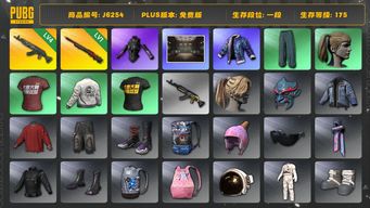 绝地求生（PUBG）详情看图