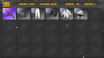 绝地求生（PUBG）巴黎世家套装1+老黑+圣诞之子套装+灰色电磁背包+毒液762