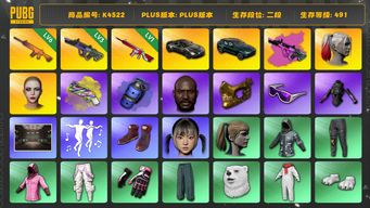 绝地求生（PUBG）[K4522]2段491级  信誉4  双马丁  6级南瓜  3级霓虹+异色  1级无信号  烟枪烟弹  小丑女  黑鬼  金面  滑雪镜  HAERIN  发光手