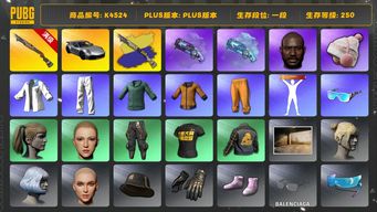 绝地求生（PUBG）[K4524]1段250级 信誉3 6级烈日喷+异色 烟枪 保时捷911 绿东 黄东 丸子头 小马尾 黑鬼