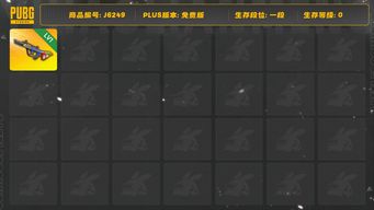 绝地求生（PUBG）爆裂弹球AUG