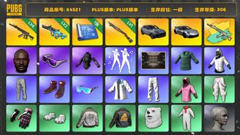 绝地求生（PUBG）[K4521]1段306级  信誉1  卡宴+911  4级妖魔+异色   2级权志龙  1级烈日  1图  黑鬼  滑雪镜 发光手  白战神