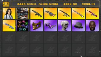 绝地求生（PUBG）[CC13856]CC13856/可排位/4段/478级/2张图纸/烟雾弹/阿斯顿马丁跑车/阿斯顿马丁SUV/翰娜/10级青龙/10级爆裂弹珠AUG/5级妖魔ACE/1级无信号M4/1级魔咒mk12/1级彩虹m24/魔咒mk12异色/黄东/白战神/圣诞套装/粉战神/拉风龙套装/萨芬裤/滑雪镜/滑雪帽/金面/黑鬼/尼尔头/脏辫/渔夫帽/白熊