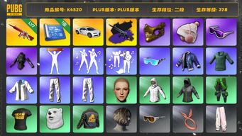 绝地求生（PUBG）[K4520]2段378级  信誉3  布加迪  7级无信号+异色  1图  金面  滑雪帽  滑雪镜  发光手  