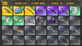 绝地求生（PUBG）[TB101]1段1级（免费版）烈日灼烧S1897 紫色魔法迷雾 - M79 妖魔ACE 烟枪