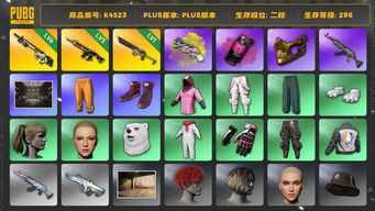 绝地求生（PUBG）[K4523]2段296级 信誉2 6级赛博 5级猪八戒 1级沙悟净 烟枪烟弹 悲喜 萨芬裤 白熊脚 小马尾 金面