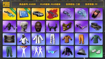 绝地求生（PUBG）[K4528]2段73级 信誉3 5级权志龙AUG+异色 烟枪烟弹 保时捷911 白战神 黄东 绿东 发光手 白熊脚 尼尔9s 黑鬼 牛角 金面 滑雪镜