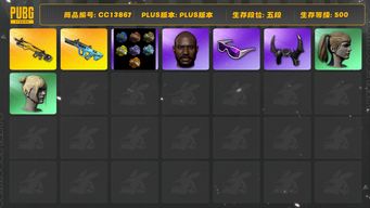 绝地求生（PUBG）[CC13867]CC13867/可排位/5段/500级/6张图纸/烟枪/911/10级小兔MK12/1级权志龙AUG/1套3代女团/绿东/2星魂套装/粉战神/拉风龙套装/滑雪镜/牛角/黑鬼/双马尾/丸子头/白熊/青海摇