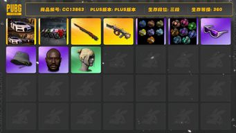 绝地求生（PUBG）[CC13863]CC13863/可排位/3段/360级/改名卡/5张图纸/烟枪/烟雾弹/布加迪/杜卡迪/7级孙悟空M24/1级弥诺陶洛斯AUG/孙悟空M24异色/绿东/pigff套装/拉风龙套装/滑雪镜/黑鬼/丸子头/渔夫帽/白熊/青海摇