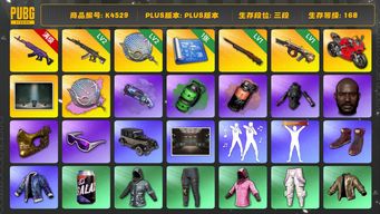 绝地求生（PUBG）[K4529]3段168级 信誉4 10级美杜莎  2级妖魔  1级孙悟空  1级牛头 2级塞壬+异色  烟枪烟弹 1张图纸 杜卡迪 小战神  悲喜  拉风龙  萨芬库  白熊脚  黑鬼  金面  滑雪镜  丸子头  