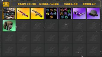 绝地求生（PUBG）[CC13857]CC13857/可排位/4段/227级/改名卡/烟枪/烟雾弹/阿斯顿马丁跑车/卡宴/8级火麒麟/1级无信号M4/绿东/粉战神/圣诞套装/滑雪镜/双马尾/脏辫/婚纱头/渔夫帽/白熊/