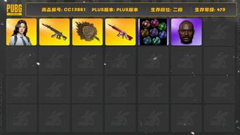 绝地求生（PUBG）[CC13861]CC13861/可排位/2段/479级/1张图纸/烟雾弹/改名卡/翰娜/5级妖魔ACE/2级无信号M4/2级唐三藏锅/妖魔ACE异色/电磁背包/圣诞套装/萨芬裤/黑鬼/白熊/青海摇