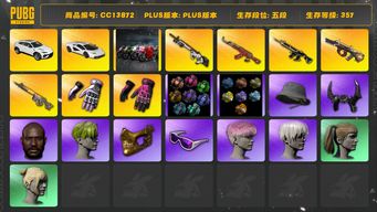 绝地求生（PUBG）[CC13872]CC13872/可排位/5段/357级/迈阿密手套/小黑盒手套/2张图纸/烟枪/橙色烟雾弹/蓝色烟雾弹/粉色烟雾弹/兰博基尼跑车/兰博基尼SUV/杜卡迪/10级猪八戒M4/8级赛博mk12/8级齿轮大炮/6级圣诞ak/3级弥诺陶洛斯AUG/无信号M4在工坊/电磁背包/绿东/白战神/圣诞套装/染血运动裤/拉风龙套装/粉战神/萨芬裤/竞猜裤/滑雪镜/滑雪帽/金面/牛角/黑鬼/尼尔头/