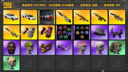 绝地求生（PUBG）[CC13872]CC13872/可排位/5段/357级/迈阿密手套/小黑盒手套/2张图纸/烟枪/橙色烟雾弹/蓝色烟雾弹/粉色烟雾弹/兰博基尼跑车/兰博基尼SUV/杜卡迪/10级猪八戒M4/8级赛博mk12/8级齿轮大炮/6级圣诞ak/3级弥诺陶洛斯AUG/无信号M4在工坊/电磁背包/绿东/白战神/圣诞套装/染血运动裤/拉风龙套装/粉战神/萨芬裤/竞猜裤/滑雪镜/滑雪帽/金面/牛角/黑鬼/尼尔头/