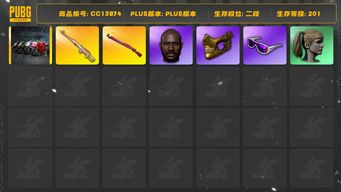 绝地求生（PUBG）[CC13874]CC13874/可排位/2段/201级/3张图纸/7000聚合物/911/杜卡迪/5级午夜惊魂98k/1级德拉贡/绿东/星魂套装/圣诞套装/pigff套装/滑雪镜/滑雪帽/金面/黑鬼/双马尾/白熊/青海摇