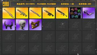 绝地求生（PUBG）[CC13875]CC13875/可排位/1段/287级/5张图纸/烟雾弹/6级猪八戒M4/2级沙悟净mini/1级水麒麟/1级德拉贡/1级彩虹M24/绿东/黄东/白战神/圣诞套装/拉风龙套装/粉战神/滑雪镜/滑雪帽/金面/牛角/尼尔头/白熊/青海摇