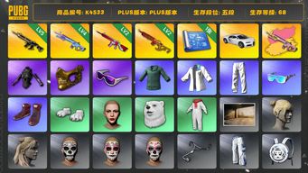 绝地求生（PUBG）[K4533]5段68级 信誉3 5级八戒 4级魔咒+异色 2级无信号 2级圣诞mini 布加迪 发光手 小绿东 白熊脚 丸子头 金面 滑雪镜