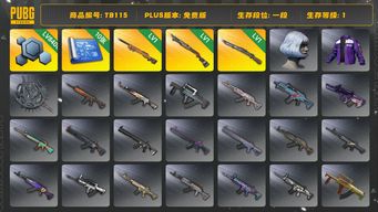 绝地求生（PUBG）[TB115]1段1级（免费版）夜曲M24 猛虎98K 烈日灼烧S1897