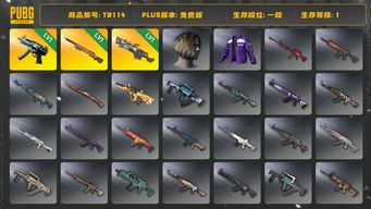 绝地求生（PUBG）[TB114]1段1级（免费版）夜曲M24 刻耳柏洛斯M249 寒蚀MP5K