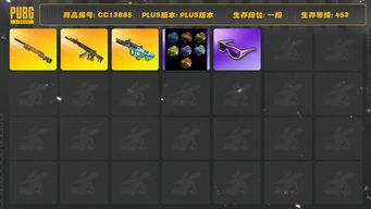 绝地求生（PUBG）[CC13885]CC13885/可排位/1段/453级/改名卡/3张图纸/烟枪/卡宴/6级妖魔ACE/1级权志龙AUG/1级夜曲M24/夜曲M24异色/白战神/滑雪镜