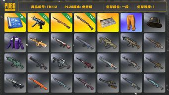 绝地求生（PUBG）[TB112]1段1级（免费版）夜曲M24 烈日灼烧S1897 寒蚀MP5K aespa女团 拉风龙套装 小叮当套装