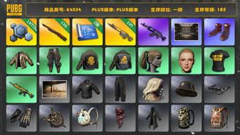 绝地求生（PUBG）[K4534]1段183级 信誉3 6级悟空 1级齿轮炮 2图纸 拉风龙 小马尾