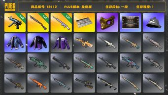 绝地求生（PUBG）[TB113]1段1级（免费版）金面 玩偶大炮 烈日灼烧S1897 寒蚀MP5K aespa女团