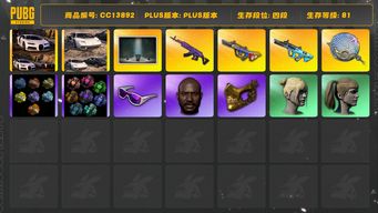 绝地求生（PUBG）[CC13892]CC13892/可排位/4段/81级/胜利密室/陈列室/4张图纸/2烟枪/粉色烟雾弹/青色烟雾弹/911/布加迪/兰博基尼SUV/10级美杜莎/7级爆裂弹珠AUG/2级塞壬平底锅/1级权志龙AUG/电磁背包/1套3代女团/绿东/染血运动裤/卧底套装/圣诞套装/拉风龙套装/拉风龙套装/萨芬裤/滑雪镜/滑雪帽/金面/黑鬼/双马尾/丸子头/脏辫/白熊/青海摇