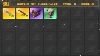 绝地求生（PUBG）[CC13889]CC13889/可排位/1段/466级/911/5级妖魔/2级魔咒MK12/2星魂套装/金面/丸子头/婚纱头