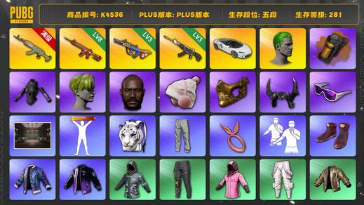 绝地求生（PUBG）[K4536]5段281级 信誉2 10级水麒麟 8级朱雀 3级爆裂 3级恶魔 烟弹 迈凯伦 小战神 悲喜 拉风龙 发光手 染血裤 白熊脚 白虎包 丑男 小绿头 小马尾 丸子头 黑鬼 金面 牛角 滑雪镜 内马尔大礼包