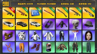 绝地求生（PUBG）[K4538]3段462级 信誉3 10级青龙 8级朱雀 2级午夜 1级烈日喷 1级妖魔 1级赛博 烟弹 迈凯伦 马丁跑车 兰博SUV 白虎包 白战神 拉风龙 竞猜裤 萨芬裤 发光手 白熊脚 尼尔9s 女团minji 小马尾 渔夫帽 金面