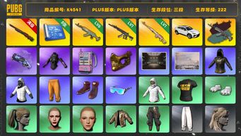 绝地求生（PUBG）[K4541]3段222级 信誉3 10级孙悟空 6级水麒麟+异色 1级妖魔 1级德拉贡 烟枪 8图纸 丸子头 金面 兰博suv