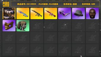 绝地求生（PUBG）[CC13900]CC13900/可排位/4段/489级/布加迪/10级无信号M4/6级魔咒MK12/2级妖魔ACE/电磁背包/绿东/滑雪镜/金面/黑鬼/双马尾/渔夫帽