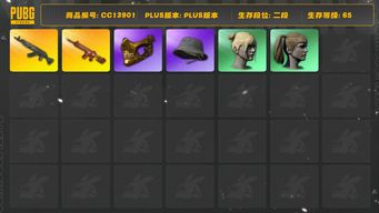 绝地求生（PUBG）[CC13901]CC13901/可排位/2段/65级/7级青龙/2级朱雀M4/拉风龙套装/粉战神/圣诞套装/金面/双马尾/丸子头/2渔夫帽/白熊