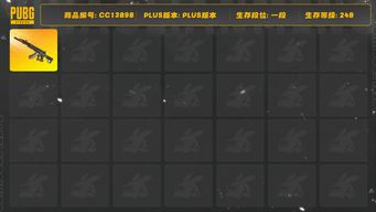 绝地求生（PUBG）[CC13898]CC13898/可排位/1段/248级/改名卡/6级妖魔ACE/妖魔ACE异色/无重力异色在工坊/1套3代女团/卧底套装/粉战神/萨芬裤