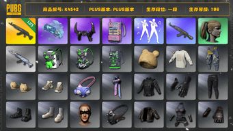 绝地求生（PUBG）[K4542]1段186级 信誉3 3级青龙 烟枪 牛角 小马尾 电磁包