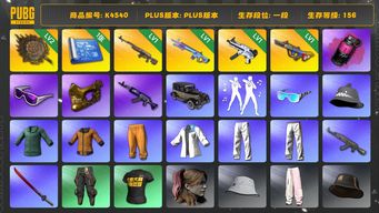 绝地求生（PUBG）[K4540]1段156级  信誉2   2级唐三藏  1级时光  1级魔咒  1级无重力  1级爆裂  烟弹  1图  金面  滑雪镜  黄东