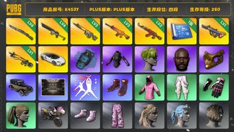 绝地求生（PUBG）[K4537]4段280级 信誉2 4级猛虎 4级沙悟净 3级齿轮大炮 3级南瓜 2级AK 1级爆裂 1级小兔 烟雾弹 小绿头 黑鬼 金面 马东锡 迈凯伦