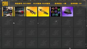 绝地求生（PUBG）[CC13897]CC13897/可排位/1段/177级/烟雾弹/阿斯顿马丁跑车/杜卡迪/3级小兔MK12/1级弥诺陶洛斯AUG/渔夫帽