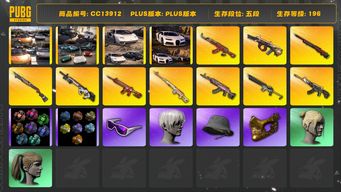 绝地求生（PUBG）[CC13912]CC13912/可排位/5段/196级/改名卡/烟枪/粉色烟雾弹/蓝色烟雾弹/橙色烟雾弹/布加迪/迈凯伦/兰博基尼SUV/阿斯顿马丁跑车/阿斯顿马丁SUV/7级孙悟空M24/6级朱雀M4/6级沙悟净mini/5级火麒麟/2级圣诞AK/1级弥诺陶洛斯AUG/1级恶魔ACE/1级烈日s1897/1级赛博MK12/1级德拉贡/恶魔ACE异色/赛博MK12异色/孙悟空M24异色/美杜莎异