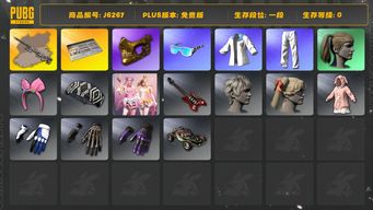 绝地求生（PUBG）改名卡 AWM异色 金面 紫喵喵手套 星魂套 魔力甜心套装 究极布加迪外饰