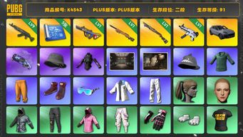 绝地求生（PUBG）[K4543]2段91级  信誉2  卡宴  9级青龙  1级爆裂  1级夜曲  1级烈日  1级无重力  烟枪  5图  渔夫帽  发光手