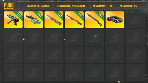 绝地求生（PUBG）夜曲M24 布加迪奢华跑车 权志龙AUG 烈日灼烧S1897 寒蚀MP5K 幽影残魂AWM 布加迪威龙