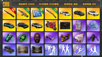 绝地求生（PUBG）[K4545]5段307级 信誉5 10级孙悟空 7级火麒麟 1级烈日 1图纸 烟弹烟枪 三兰博 双马丁 保时捷911  杜卡迪 女团宁宁 丹尼尔 黑鬼 金面 滑雪镜 星魂套  兰博大厅 陈列室 