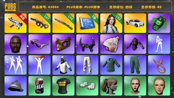 绝地求生（PUBG）[K4544]4段85级 信誉4 7级牛头 6级无重力 4级猛虎 烟弹 3图纸 布加迪 2级瀚娜 黑鬼 金面 滑雪镜 牛角 