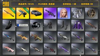 绝地求生（PUBG）[TB124]1段1级（免费版）夜曲M24 保时捷卡宴 寒蚀MP5K aespa女团 保时捷