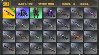 绝地求生（PUBG）[TB120]1段1级（免费版）无信号M416 拉风龙套装 小叮当套装